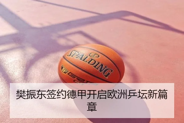 樊振东签约德甲开启欧洲乒坛新篇章