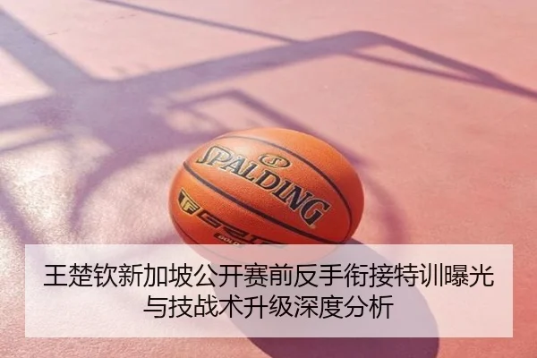 王楚钦新加坡公开赛前反手衔接特训曝光与技战术升级深度分析