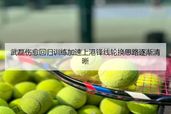 武磊伤愈回归训练加速上港锋线轮换思路逐渐清晰